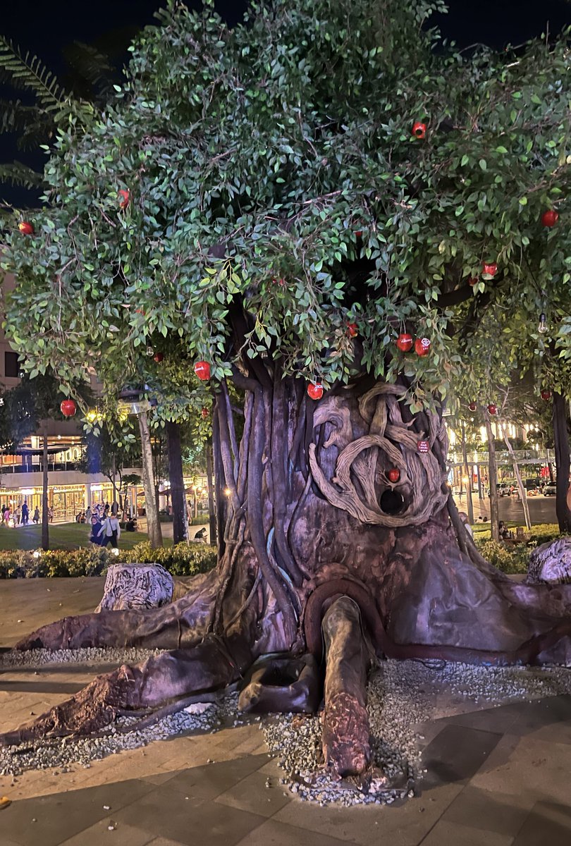 JniE_Lee's tweet photo. Nakabisita din sa DAM TREE kahit lights off na sya ๐๐ฅน
Pretty ๐ญ
Sa sunod na lang ulit para makapila
@SB19Official #SB19
#DAMTreeinBGC https://t.co/EYwoK0XX9A