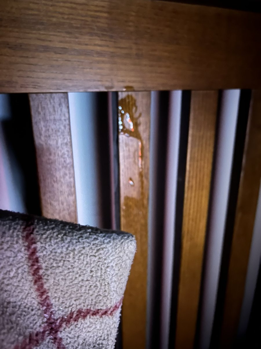 EdgingBoy78's tweet photo. When I #edge I shoot, yep over my head and on the bed board!!! 

I could use and #edging friend/partner, hit me up 🤙 https://t.co/aFT5l38aH7