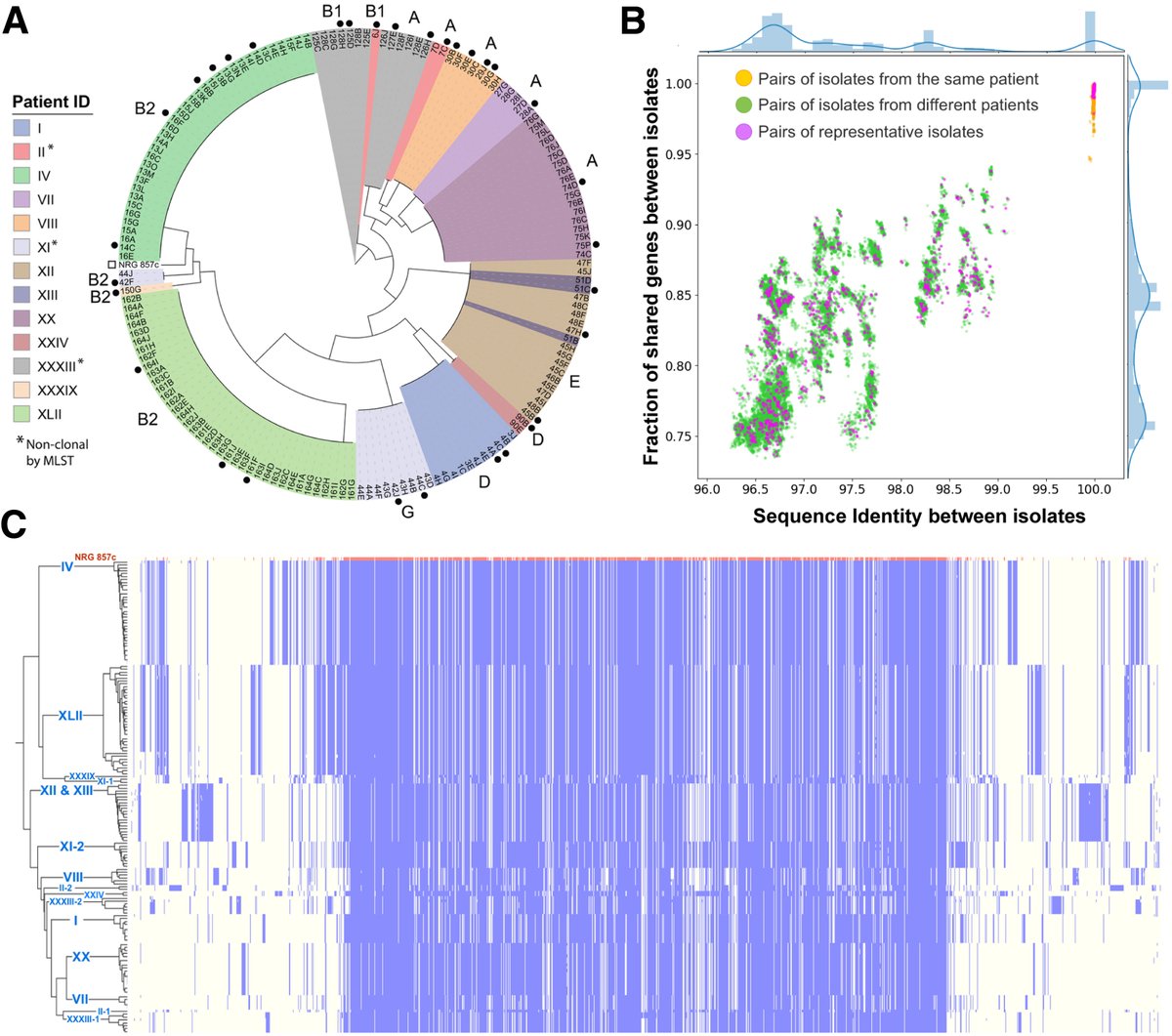 Gastroenterology (@aga_gastro) on Twitter photo 📭 From CMGH, check out this article!
📰 Genetic and Microbial Analysis of Invasiveness for Escherichia coli Strains Associated With Inflammatory Bowel Disease
👨⚕️ <a href="/kvnforsberg/">Kevin Forsberg</a>
🔗 ow.ly/pgHy50VwqIG 📭 From CMGH, check out this article!
📰 Genetic and Microbial Analysis of Invasiveness for Escherichia coli Strains Associated With Inflammatory Bowel Disease
👨⚕️ <a href="/kvnforsberg/">Kevin Forsberg</a>
🔗 ow.ly/pgHy50VwqIG