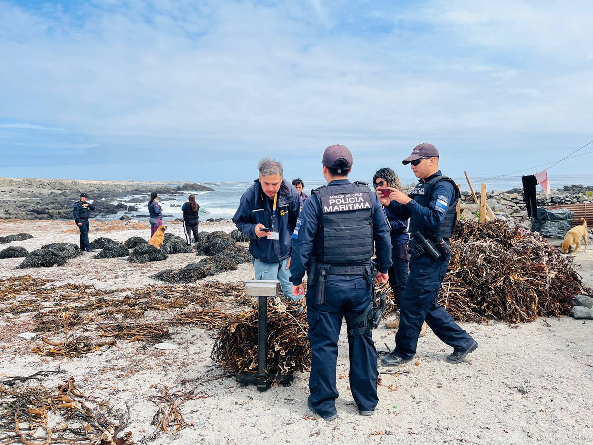 Gobernación Marítima de Caldera tweet media