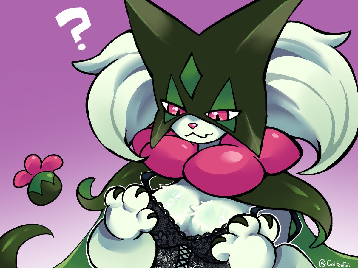 What the cat doing.. you don’t have to use that thing!