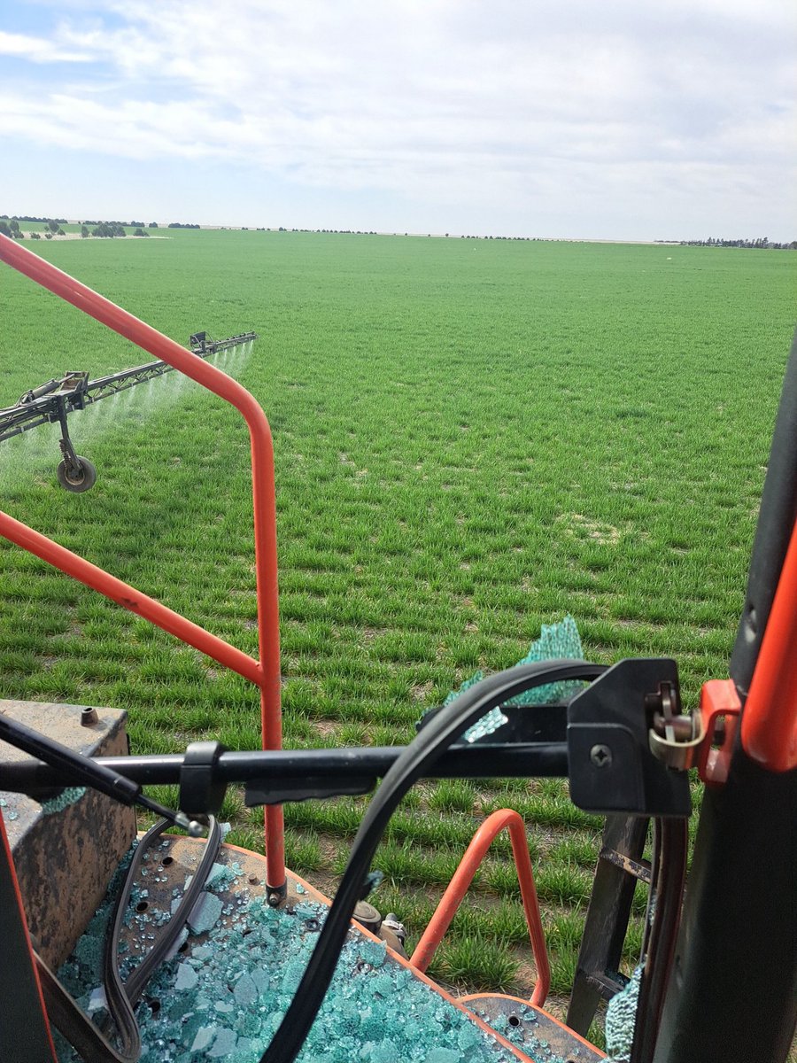 I got the optional exploding glass option. Great for scouting on the fly.