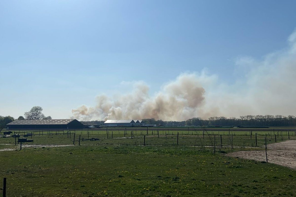 Brand in de natuur bij Drunen