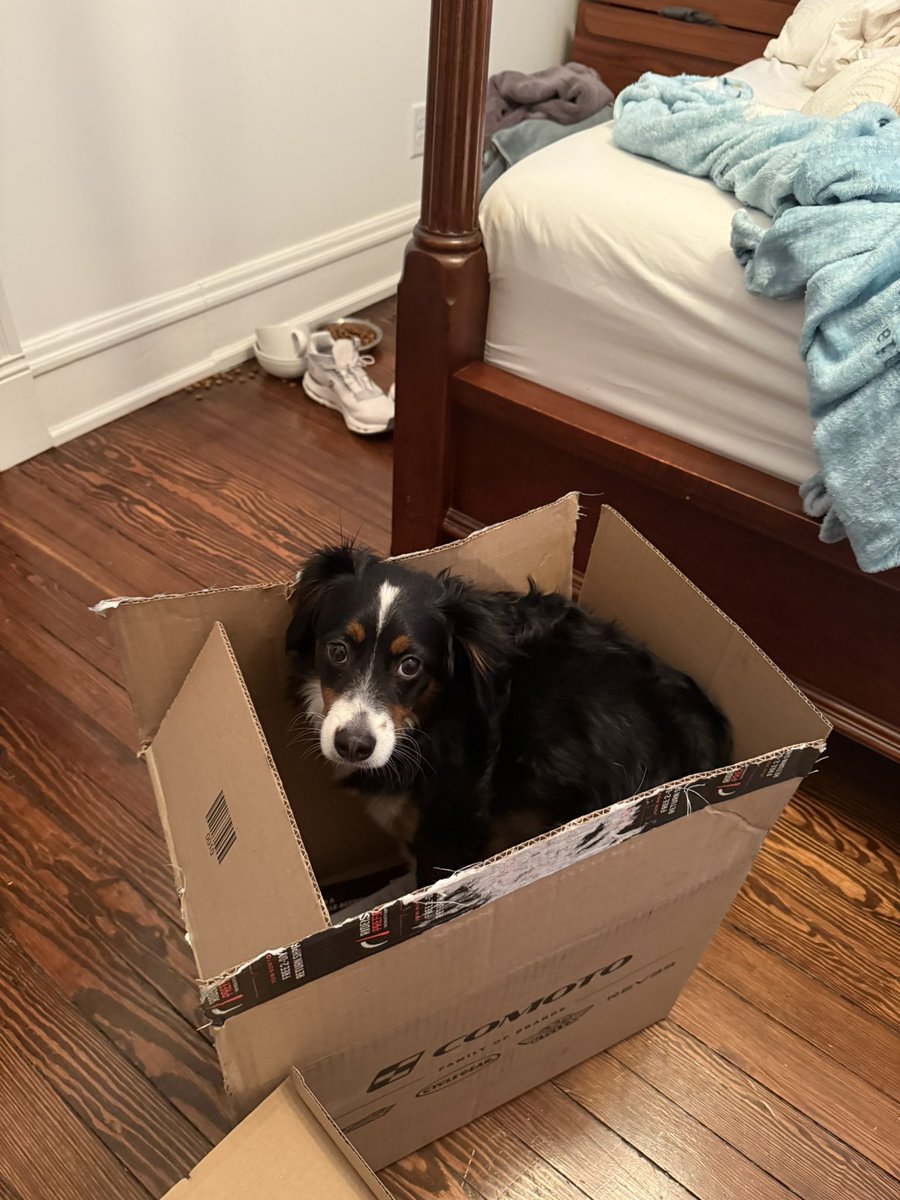 Sox in box