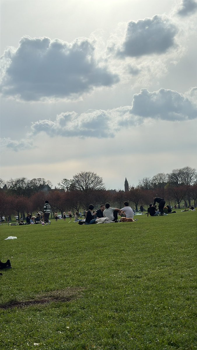 Kripto Şesu tweet media