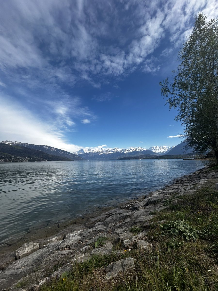 CoachAlonso's tweet photo. lago Thun Suiza 🇨🇭/Thun see Schweiz / Thun lake Switzerland https://t.co/AOcPinkQii