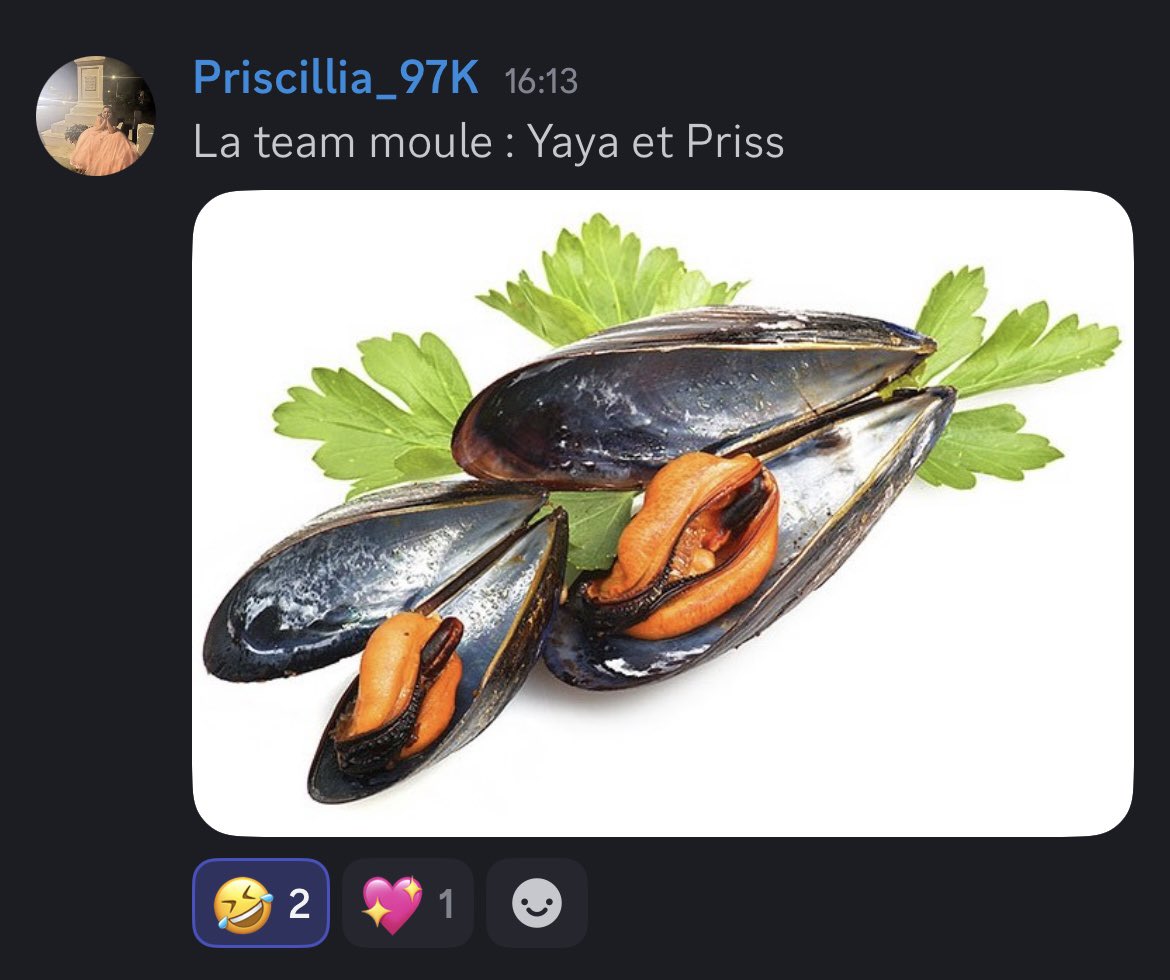 3eme team inscrite aux Koubi’s game qui tenteront de gagner 100€ + 1 maillot esport + un tapis souris xxl 97k + la coupe, une team de Nana 💪🏼🔥