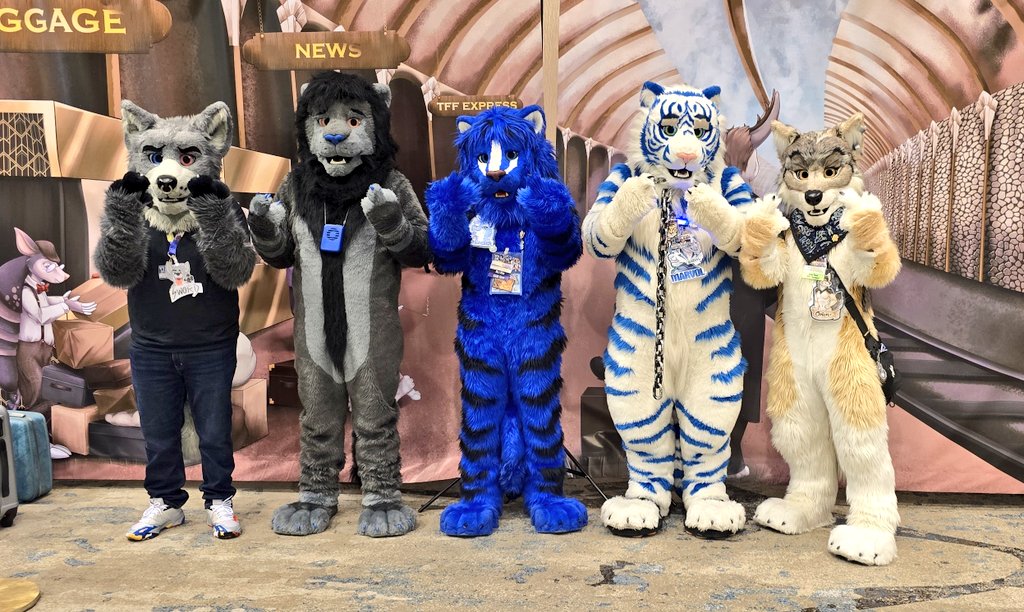 The <a href="/ByCats4Cats/">BC4C: More than meow.</a> family photo at #TFF/ #TFF2025