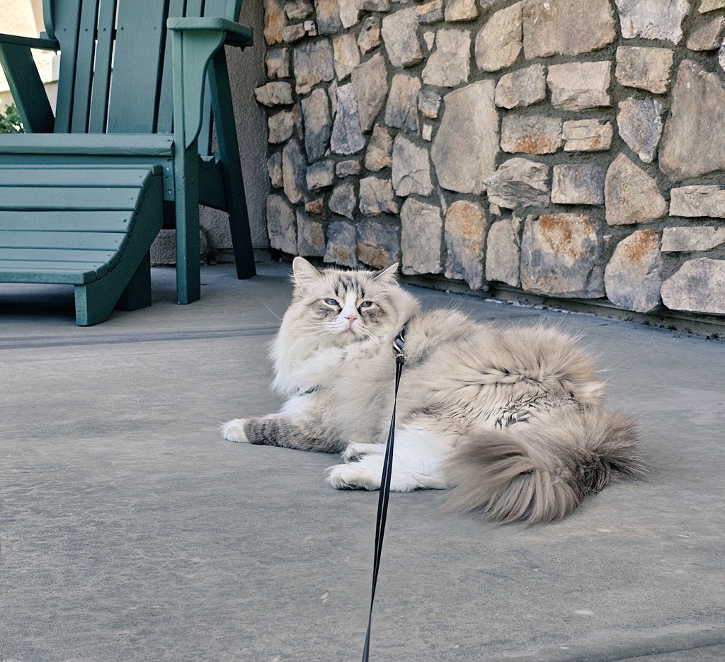 s t a c y ♡ tweet media