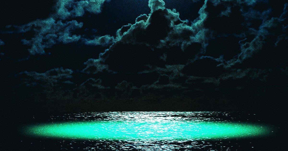 #OurAmazingOcean 

Mysteries of the deep ✨ 

Scientists Investigating Patches of Ocean With Otherworldly Glow 

futurism.com/scientists-oce…