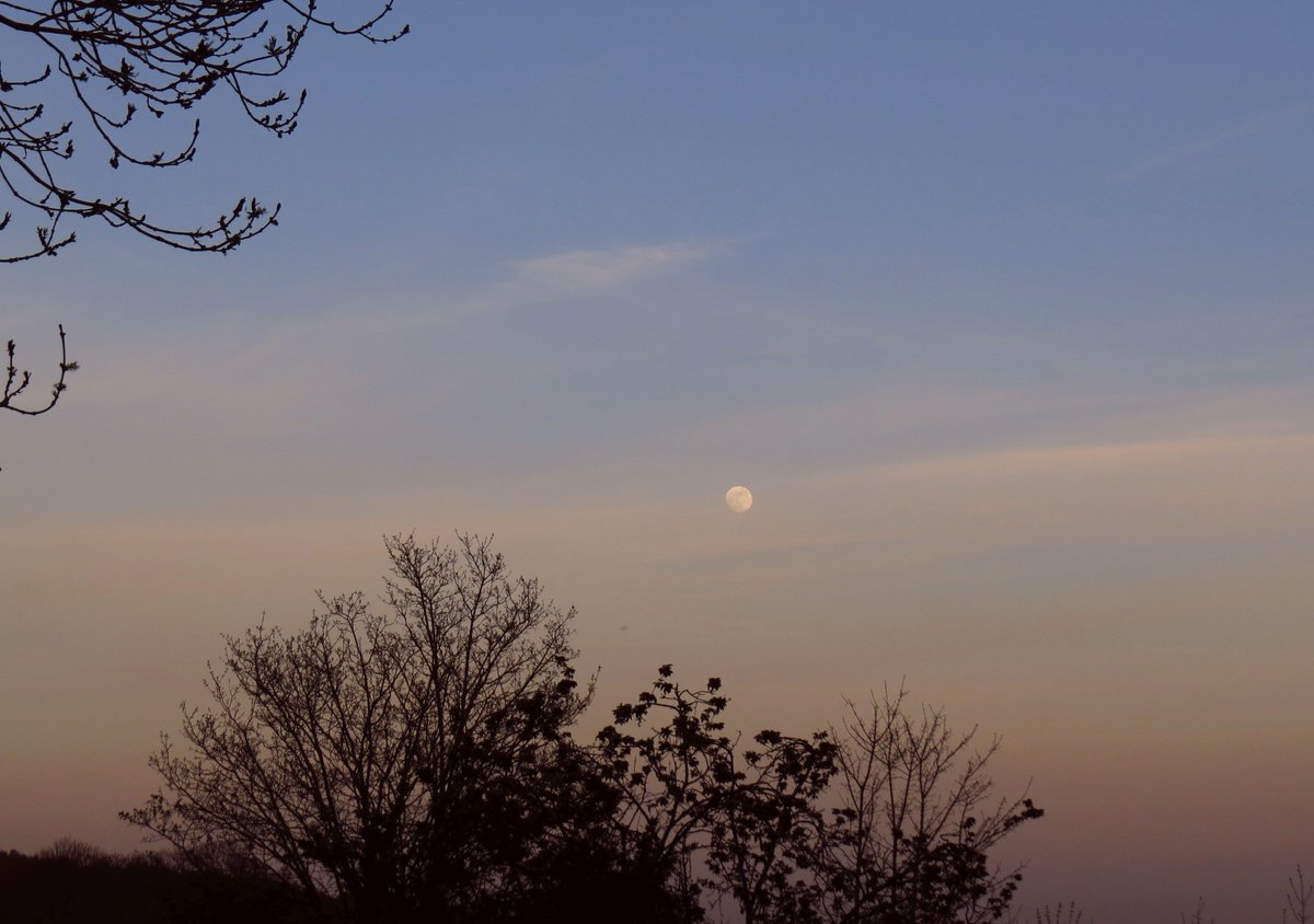 angegarrod's tweet photo. @MoonHourSocial @kamin_amy @astronomy_dan @CathAdams1973 @chickebabe3 @DavidBflower @DaydreamAstro @hyman_roger @Joeynoble @Josep_Trigo For the first time in a couple of weeks, it's cloudy!
Got this yesterday though 98.7% Waxing Gibbous moon sunset and beyond. https://t.co/2tb7yJqpQU