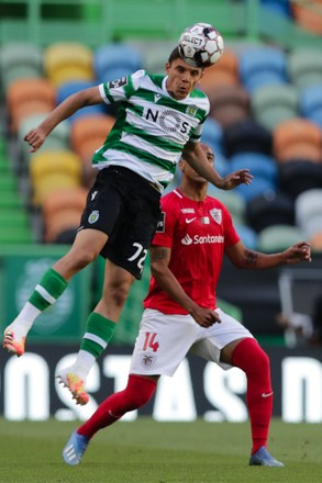 ml_ufsbt's tweet photo. 🇵🇹 #Portugal, Liga Portugal Betclic, April 12, Round 29 🏆
CD Santa Clara vs. Sporting CP
Sporting CP holds the upper hand with a +50 goal difference. ⚽️  
CD Santa Clara aims to defend against Sporting's 2.64 goals/game average. 🛡️  
Santa Clara's recent struggles: only 0.75 goals/game in last 4 matches.  
Sporting's attacking force expected to shine: 2-0 or 3-1 likely outcome. 🔥
#LigaPortugal #Primeira #football #soccer #preview #insight #betting
