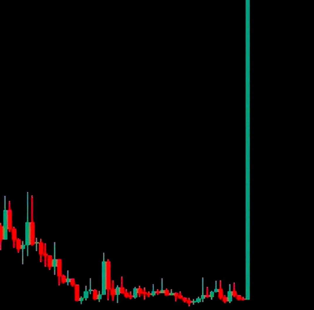 Not Elon Musk tweet media