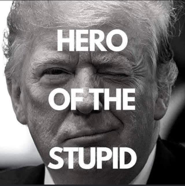 DDG1605's tweet photo. @TrumpDailyPosts https://t.co/yAAZU2BM5t