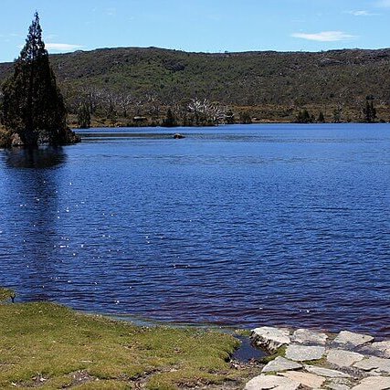 TheNatureFund's tweet image. Record number of illegal sewage spills in Windermere in 2024 #lakewindermere #sewage #pollution

naturalworldfund.com/record-number-…