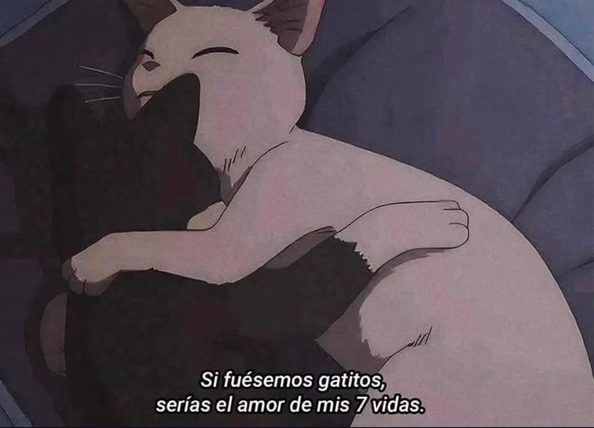 Cultura Literal (@culturaliteral1) on Twitter photo 