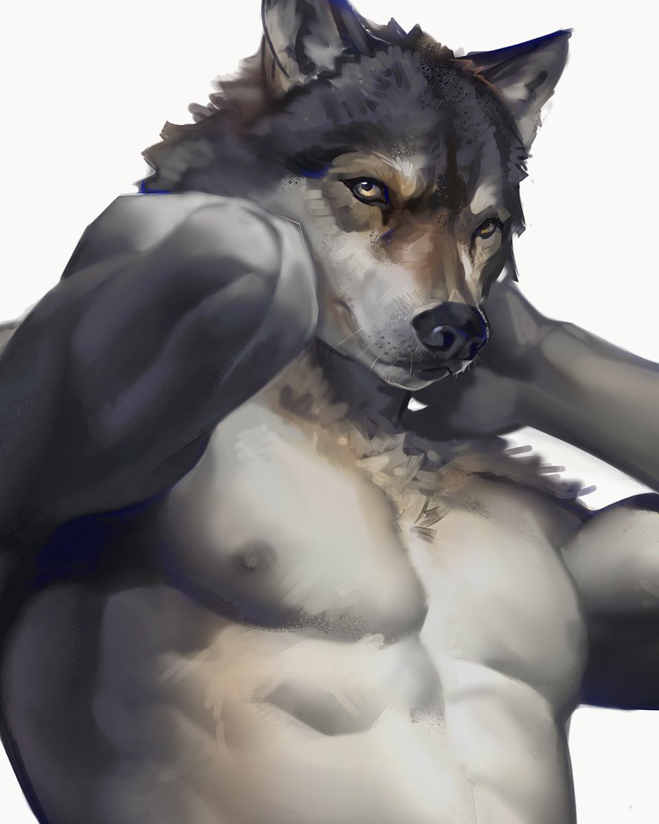 WIP for a Wolf character 🐺!