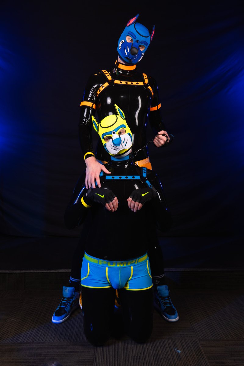 This photo goes hard as fuck 🥵 
Happy #ShinySaturday~ 

🐶: <a href="/CurlyFig/">Fig</a> 
📸: <a href="/PoisonedShutter/">Shutter</a>