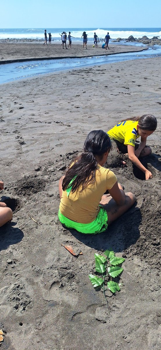 FredisMolina1's tweet photo. A morning full of smiles, waves, and fun at Bitcoin Beach. This is how Surf for Everyone is lived β with our kids enjoying the river to the fullest! @Bitcoinbeach
@romanmartinezc
#SurfForEveryone #BitcoinBeach #ElZonte #SurfCommunity
ππββοΈβοΈπ¦π§β€οΈ https://t.co/LUGSBdNxLF