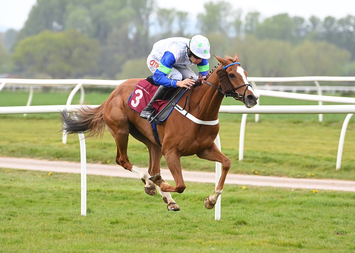 BangorRaces's tweet photo. RACE 6 RESULT: THE UNICORN TRAVEL HANDICAP HURDLE RACE
🥇Serious Chat
🥈Izzy’s Grey
Jockey: Theo Gillard
Trainer: Donald McCain
Owner: Greyland Ltd
📸 @offphoto @donaldmccain https://t.co/CuG32p5oqJ