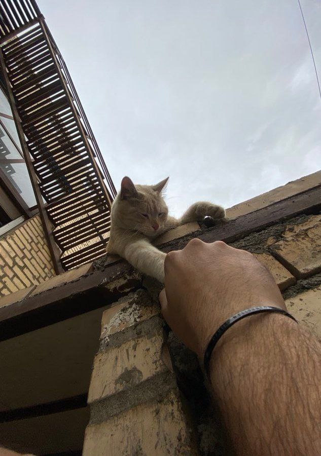 تو نباید بمیوری :)))