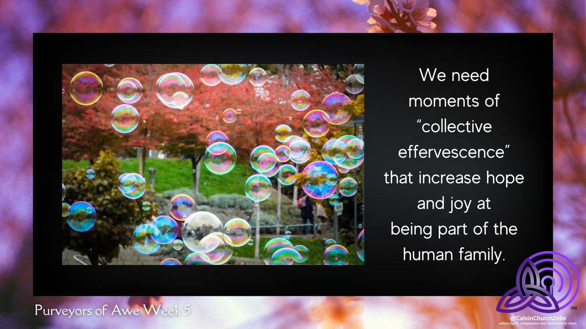 CalvinPresZeli's tweet image. There will be no Adult Education this Sunday, but we do encourage you to continue the Lenten Study "The Purveyors of Awe". Adult Education will resume after Easter.

Guided Study and Journal: ow.ly/wfp850V9Hrl  
#Lent #PurveyorsofAwe #WeekFive #JesusandConnection