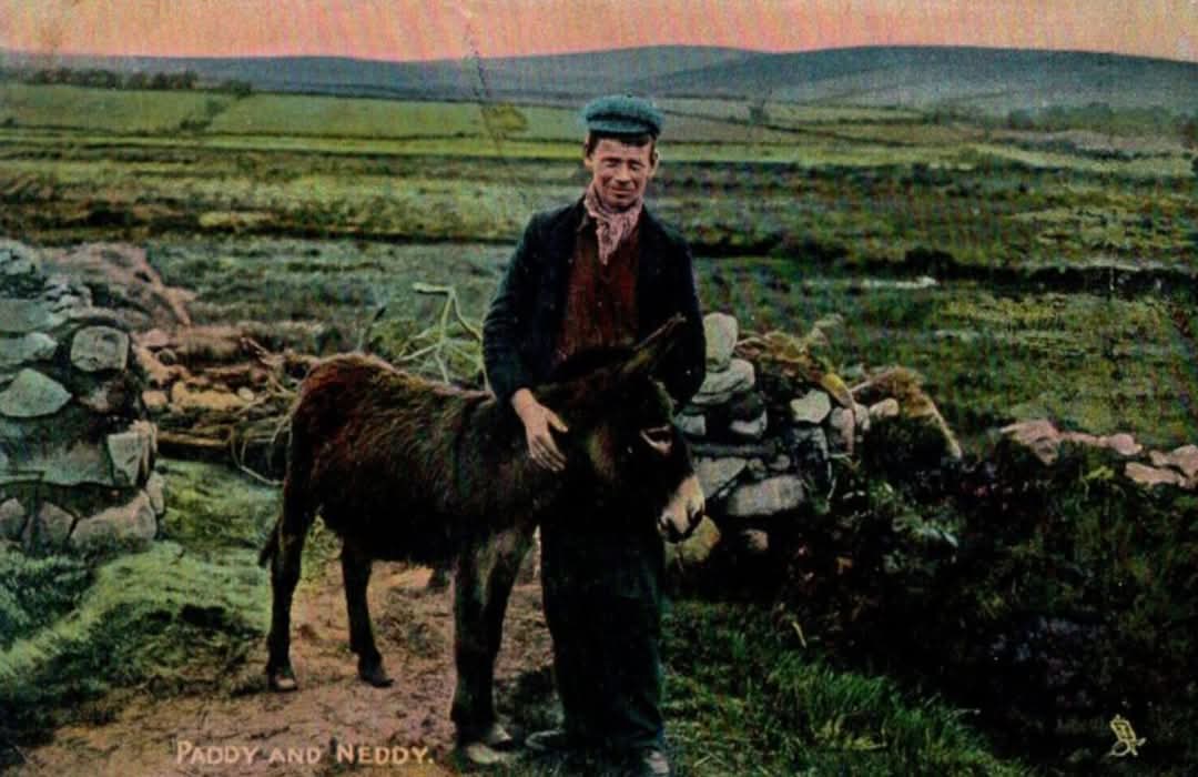ThisIsIreland3's tweet photo. ☘ A loyal pair on the road—man and donkey, steady companions in a slower Ireland 💚 🇮🇪
#IrishPostcard #RuralIreland #HeritageMoments #IrishDonkey #FolkTraditions
📸 OldIrishPostcards
#History #Ireland #OldPhotos https://t.co/pgHiU80aaq