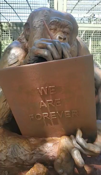 Butterflies7779's tweet photo. Ron Pia just revealed a statue made for Bubbles at the Center For Great Apes in Florida which is where Bubbles now lives. For those who don't know, Bubbles loves to paint so it's a statue of Bubbles painting a picture of #MichaelJackson 🥰 https://t.co/wQf44lxwhZ