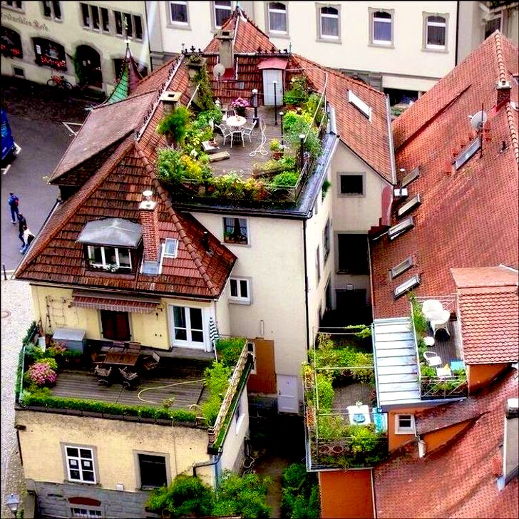 cityaestheticss tweet picture