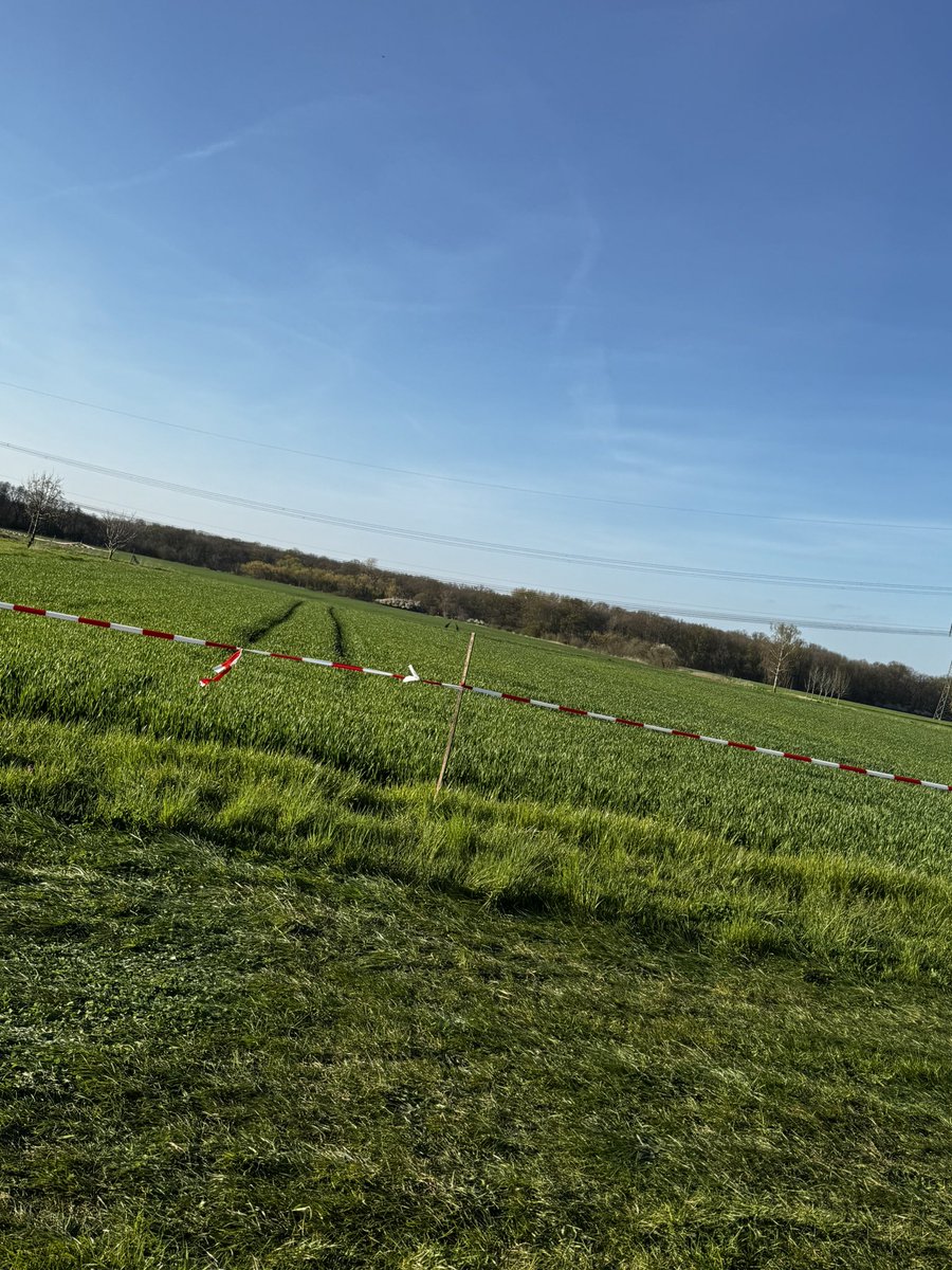 Anna 🍋 tweet media