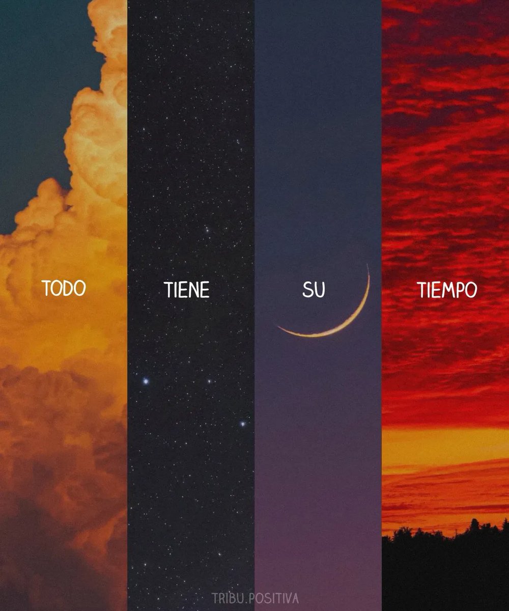 Cultura Literal (@culturaliteral1) on Twitter photo 