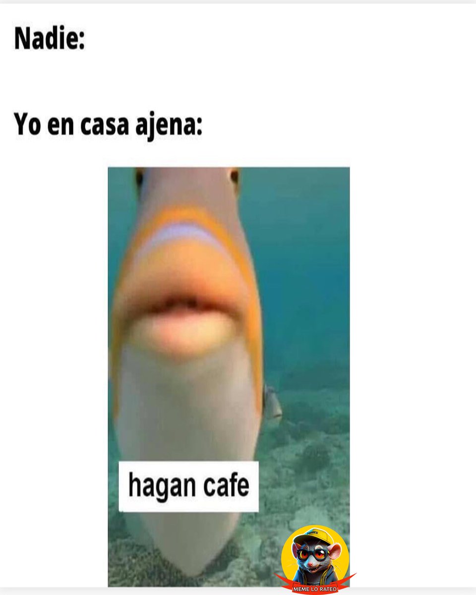 memelorateo's tweet photo. Ustedes hagan café y yo hago llegar los memes. ☕📲
.
.
.
#MemeLoRateo #MemesDelDía #HumorMexicano #MemesDivertidos #NoEsMessi #CaféPrimero #RisaAsegurada #MemesEnEspañol #HumorParaTodos #CulturaMemera https://t.co/jFhqm9MFiN