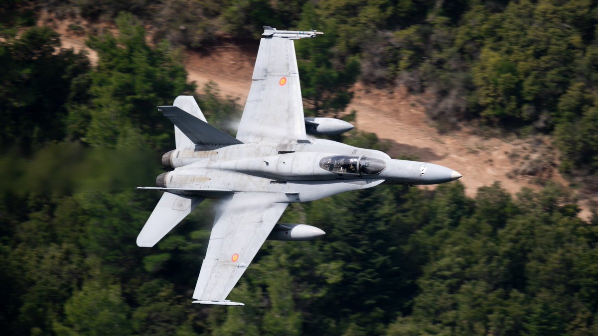 Shirakumo tweet media