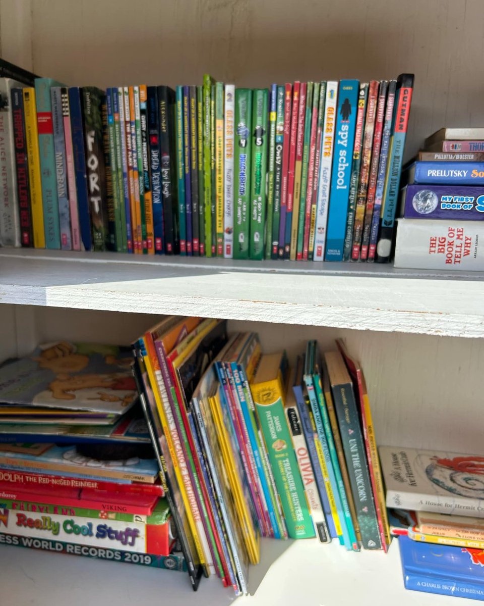 CVLittleLynx's tweet photo. Taking Action is an important component of our work as an IB school. This weekend, Addison Driscoll and his family took action to ensure our little library is clean and organized. Thank you to the Driscoll family! https://t.co/ifDgvG7d4q