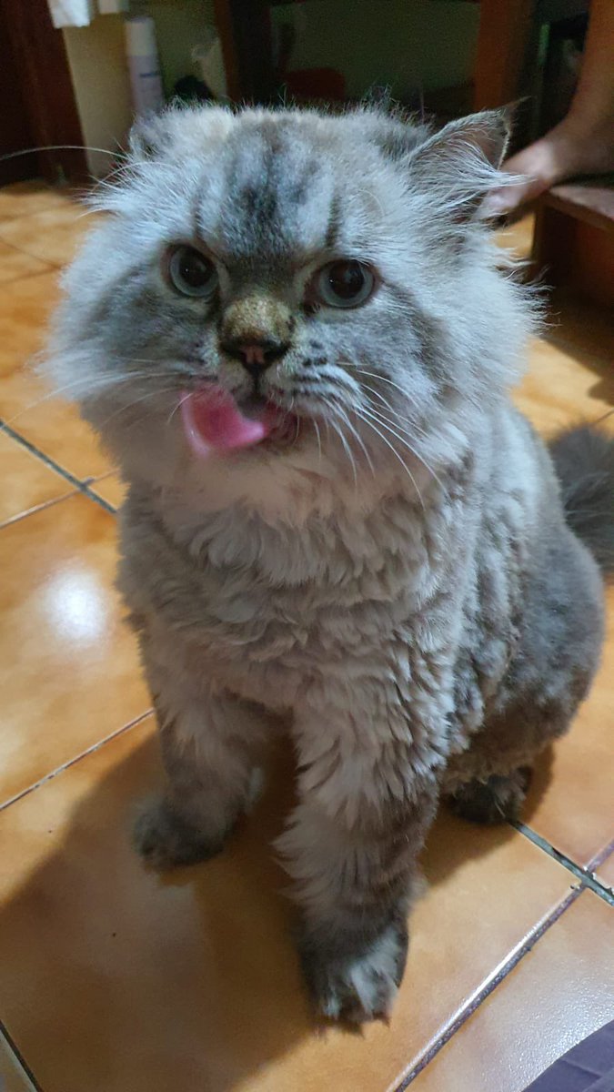 Abang 3 tahun lalu ya ampunnn gwemez puol mbaahh