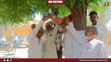 Muskan892220's tweet photo. With increasing heat, it becomes difficult for birds to find water and food. As humans, it is our duty to save them, with the help of "bird Nature" initiative by Saint Dr MSG Insan, volunteers keep food and water on rooftops, parks and other public places. #SaveLittleCreatures https://t.co/ntJl0O28Sn