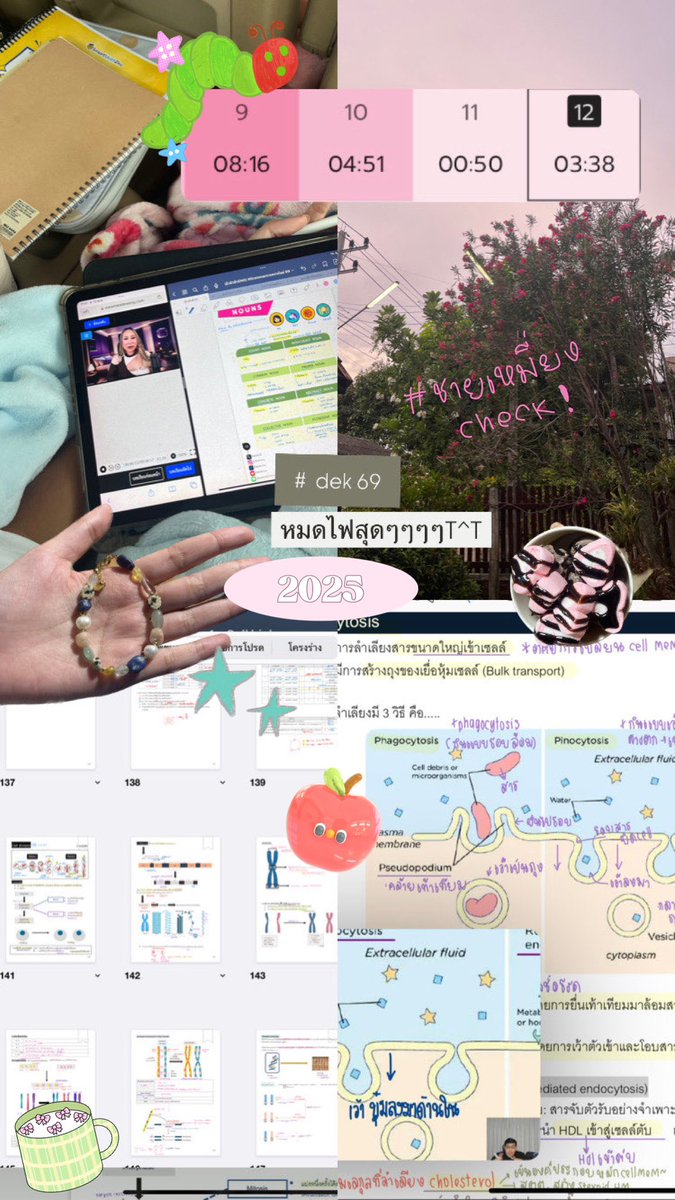 callme_pyouend's tweet image. หลังจากหายไปก้นานอยุ่ ช่วงนี้หมดไฟบวกมาเท่วค่อยไม่ค่อยได้อ่านเลยย แต่ก็ปั่นชีววันละสามเทปนะเรียนแม่มิวมิวไป3เทปละด้วยยคณิตก้อาเค บทนี้ชอบทีสุดดด ปุนหัวใจความน่าจะเป้นน วนอยุ่สามวิชานี่หล่ะะเด่วกลับไปจะไปปั่นเคมีและแต่ตอนนี้ขอเท่วเชียงใหม่ฟิรๆๆ💖🙌🏻👀💭