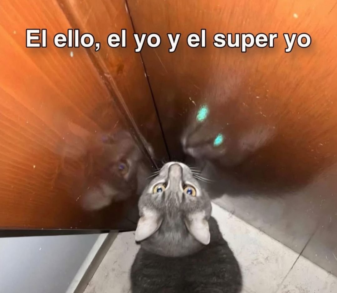 <a href="/mexicomagico/"></a>