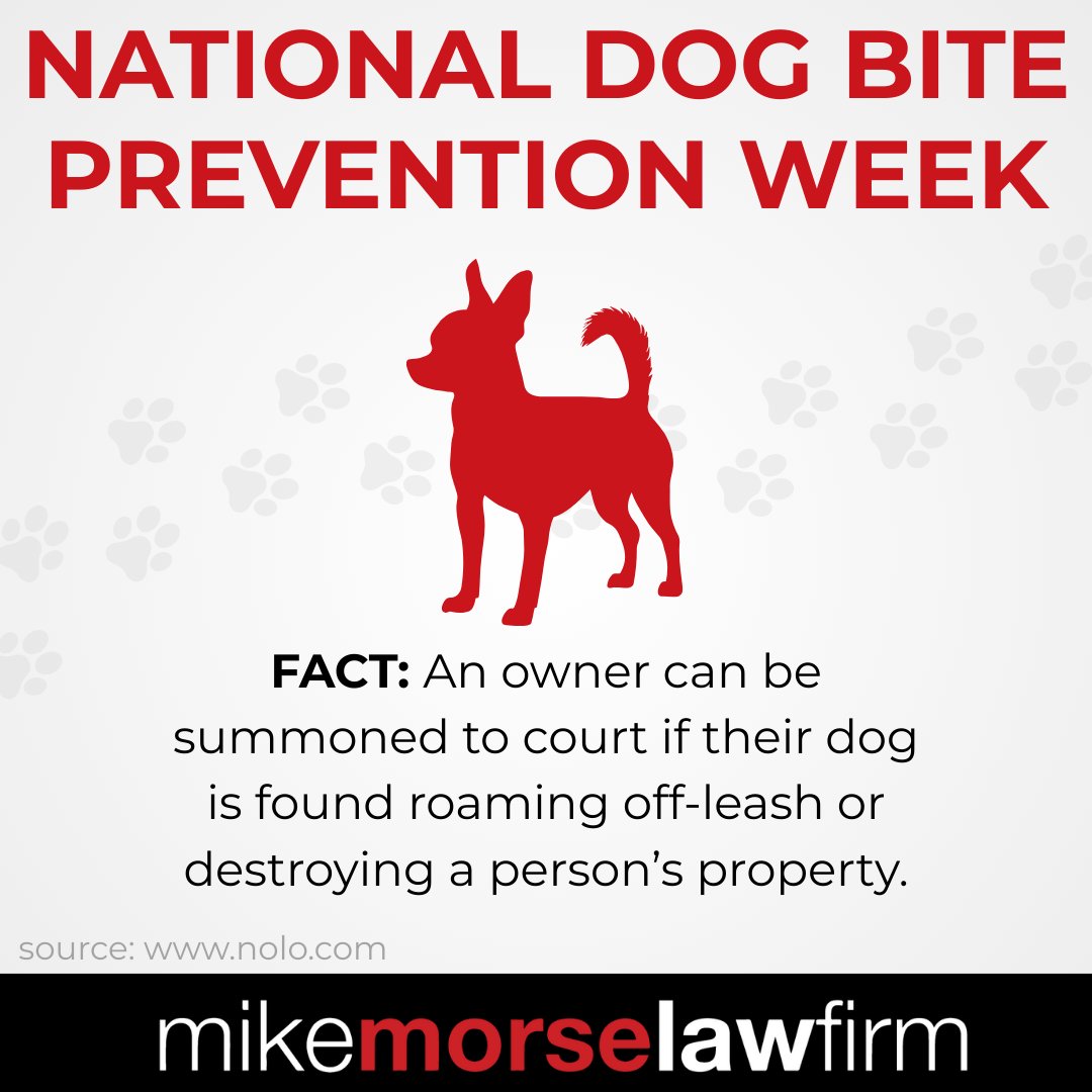 855mikewins's tweet image. It’s National Dog Bite Prevention Week — and the stats might surprise you.

Swipe through for key facts about dog bites and why awareness matters. 🐾

#dogbiteprevention #dogs #dogattack #FYI #safety