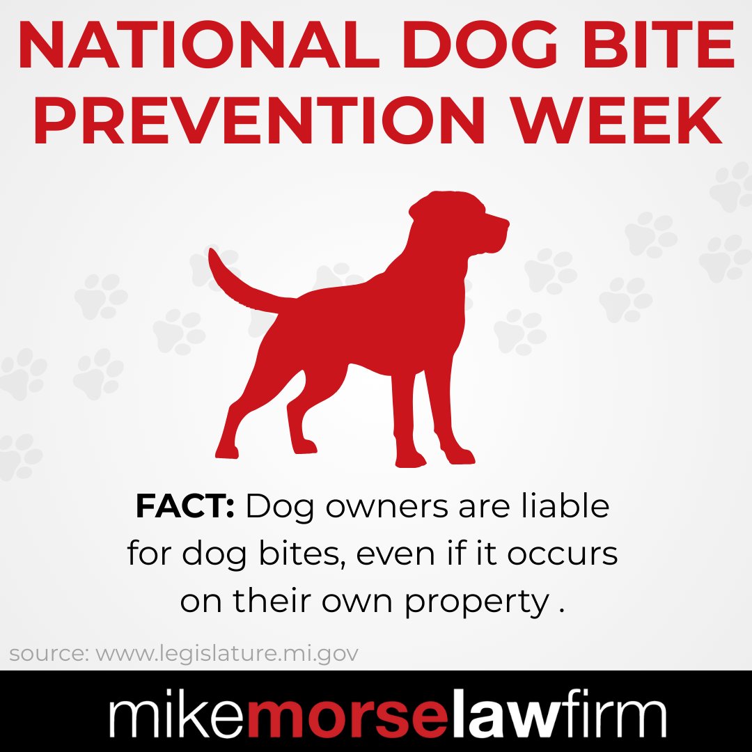 855mikewins's tweet image. It’s National Dog Bite Prevention Week — and the stats might surprise you.

Swipe through for key facts about dog bites and why awareness matters. 🐾

#dogbiteprevention #dogs #dogattack #FYI #safety