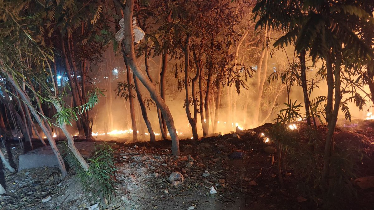 ManikondaM88292's tweet photo. Neknampur Lake is on fire — a heartbreaking blow to one of Hyderabad’s last pristine ecosystems. Decades of biodiversity, flora & fauna, now engulfed in flames. When will we act to protect what little nature we have left? #NeknampurLake #EcoDisaster #SaveOurLakes" @Comm_HYDRAA https://t.co/hPxdNyPxfC