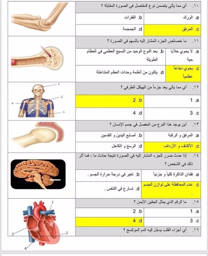 Altaheah's tweet photo. أشهر الصور الي تجي بإستمرار في اختبار التحصيلي ، ذاكروها زين و راجعوها قبل اختباركم لان ما يخلى الاختار بدونها 👌🏻. https://t.co/ZWTjiWt7G0