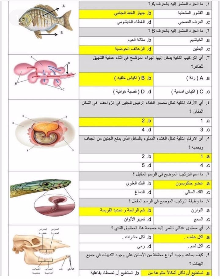 Altaheah's tweet photo. أشهر الصور الي تجي بإستمرار في اختبار التحصيلي ، ذاكروها زين و راجعوها قبل اختباركم لان ما يخلى الاختار بدونها 👌🏻. https://t.co/ZWTjiWt7G0