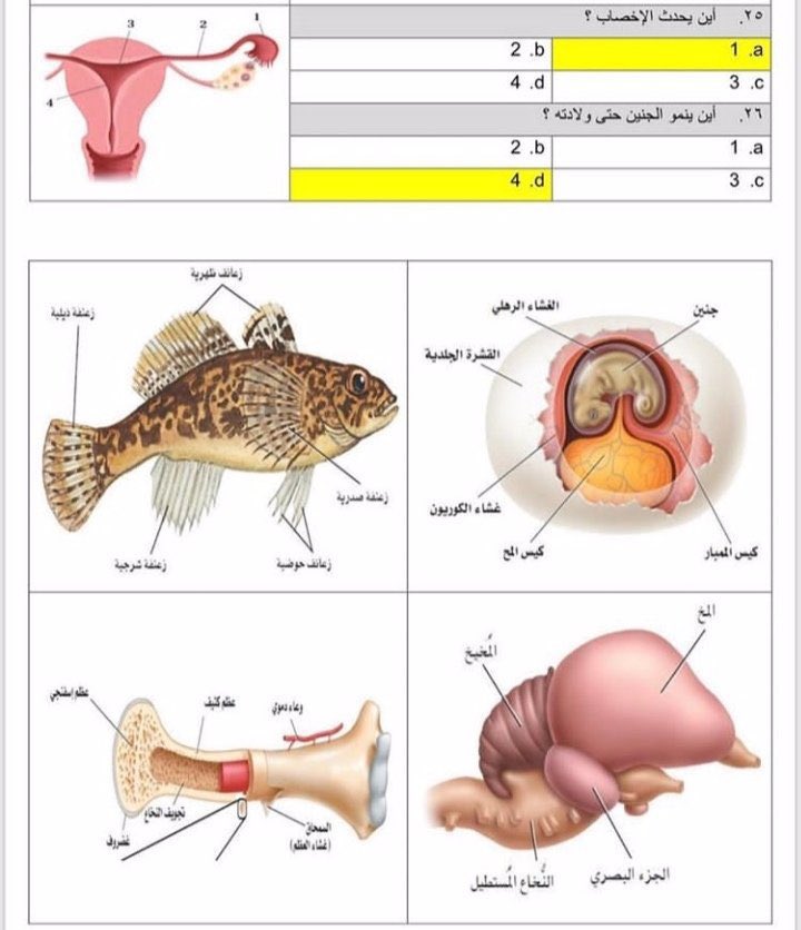 Altaheah's tweet photo. أشهر الصور الي تجي بإستمرار في اختبار التحصيلي ، ذاكروها زين و راجعوها قبل اختباركم لان ما يخلى الاختار بدونها 👌🏻. https://t.co/ZWTjiWt7G0