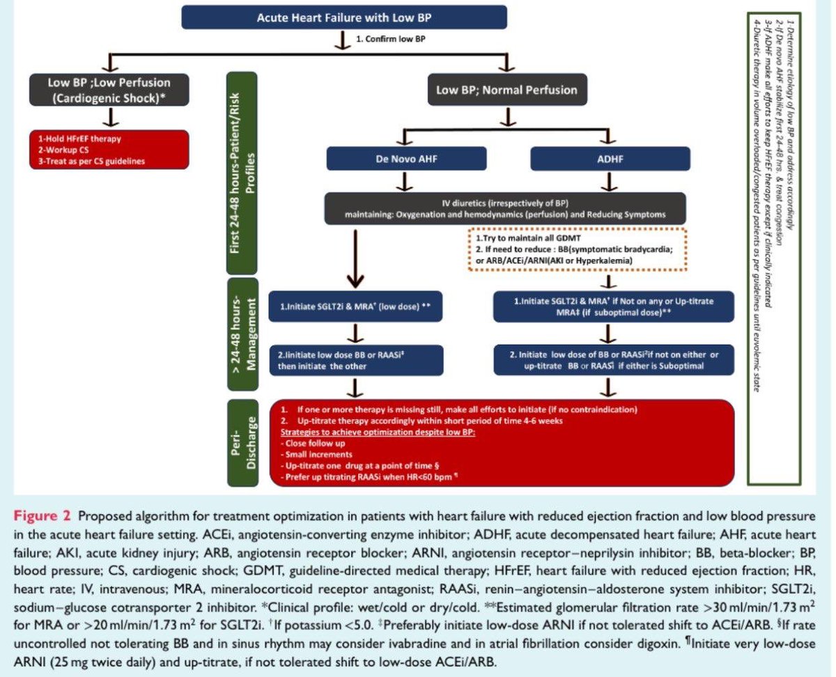 Clinical management and therapeutic optimization of patients with heart failure with reduced ejection fraction and low blood pressure. A clinical consensus statement of the Heart Failure Association (HFA) of the ESC

onlinelibrary.wiley.com/doi/epdf/10.10…