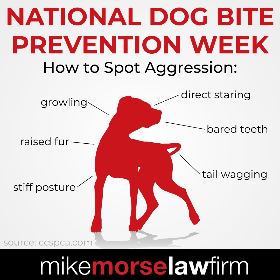 855mikewins's tweet image. Dog bites can often be prevented with the right knowledge and actions.

This week, we’re sharing simple tips to stay safe — and what to do if an attack happens. 💡🐶

#dogbiteprevention #dogs #dogattack #FYI #prevention