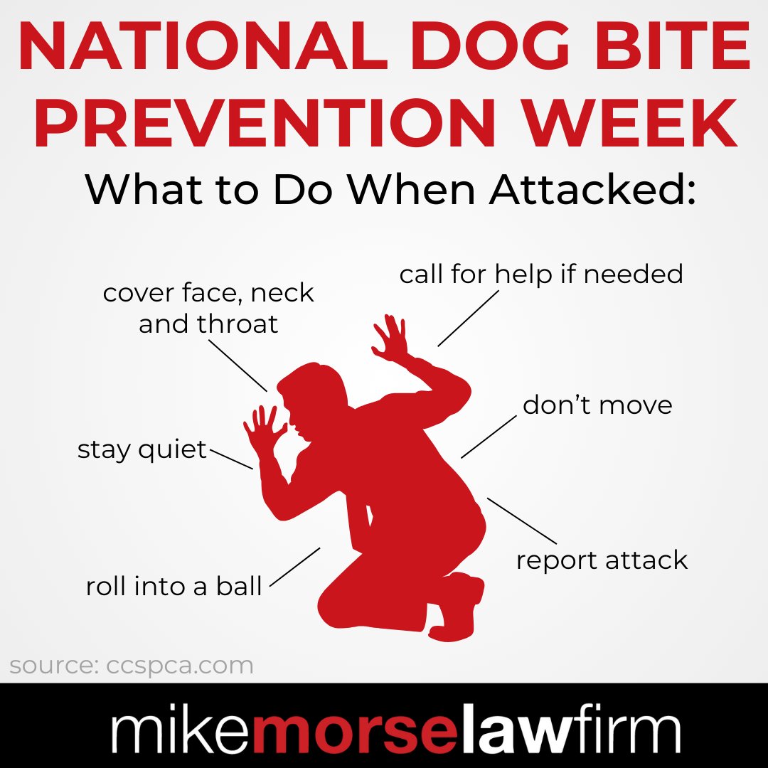 855mikewins's tweet image. Dog bites can often be prevented with the right knowledge and actions.

This week, we’re sharing simple tips to stay safe — and what to do if an attack happens. 💡🐶

#dogbiteprevention #dogs #dogattack #FYI #prevention