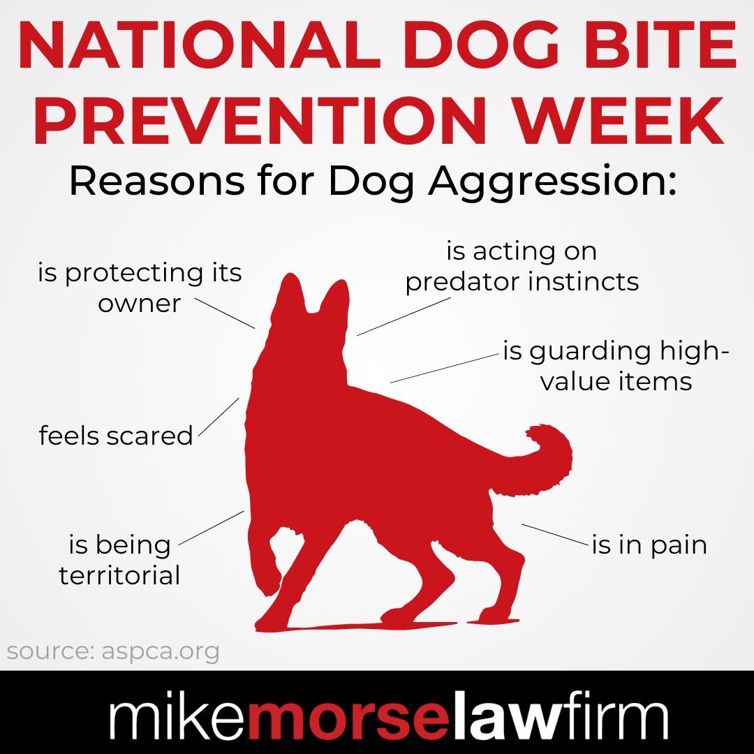 855mikewins's tweet image. Dog bites can often be prevented with the right knowledge and actions.

This week, we’re sharing simple tips to stay safe — and what to do if an attack happens. 💡🐶

#dogbiteprevention #dogs #dogattack #FYI #prevention