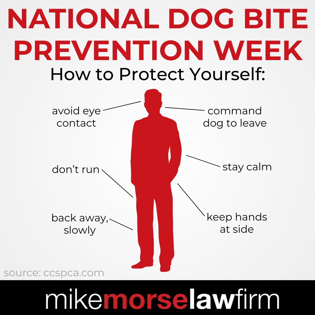 855mikewins's tweet image. Dog bites can often be prevented with the right knowledge and actions.

This week, we’re sharing simple tips to stay safe — and what to do if an attack happens. 💡🐶

#dogbiteprevention #dogs #dogattack #FYI #prevention