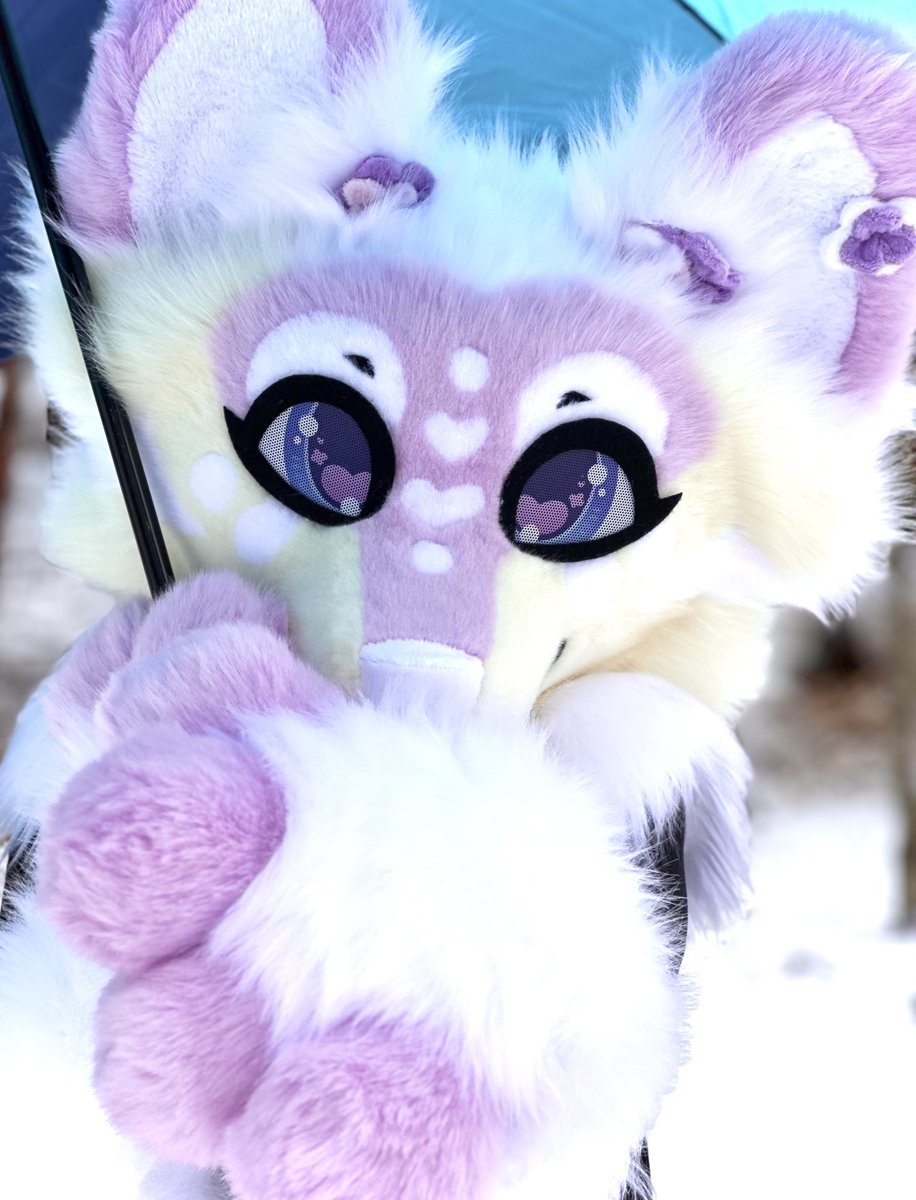 ChasingTailsWS's tweet image. new pup incoming… ❄️🌸 (it’s snowing again so photoshoot delayed :’D)